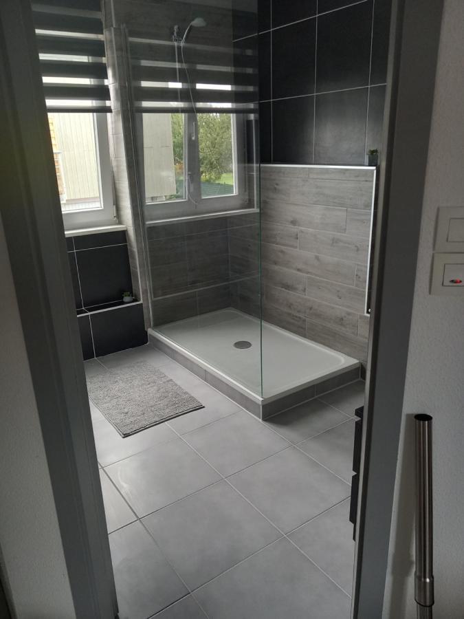 Appartement 3 Pieces Avec Balcon Rhinau Eksteriør billede